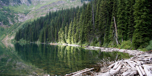 Living Outloud in Beautiful Montana
